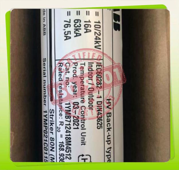 CẦU CHÌ ỐNG TRUNG THẾ 16A 10/24KV ABB CEF 