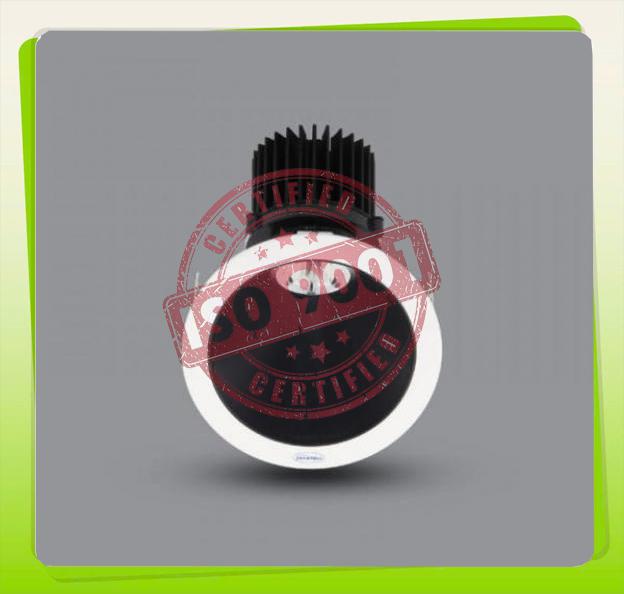 Đèn LED Downlight chiếu tranh 20W âm trần PRDZZ157L20